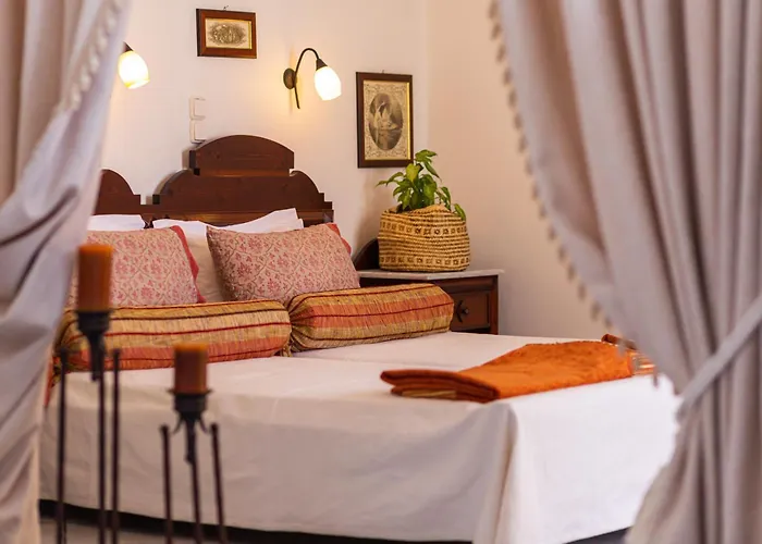 Sunrock 스텔리다