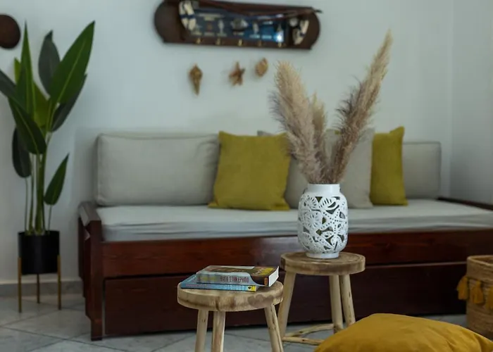 Sunrock * 스텔리다