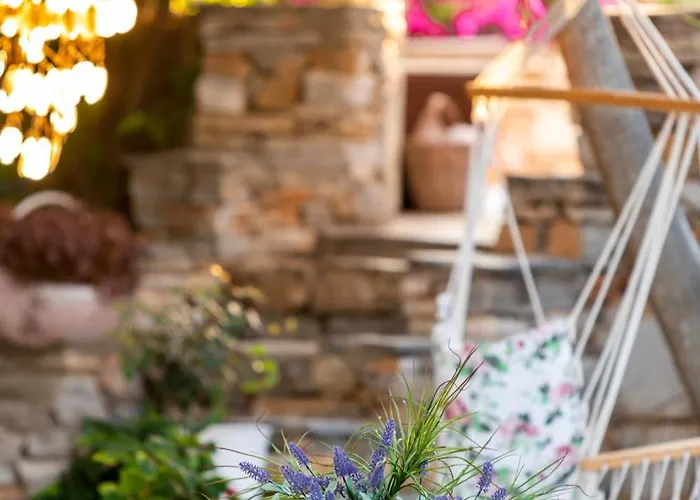 Sunrock 스텔리다