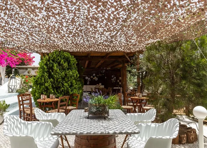 Sunrock 스텔리다