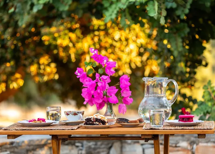 Sunrock * 스텔리다