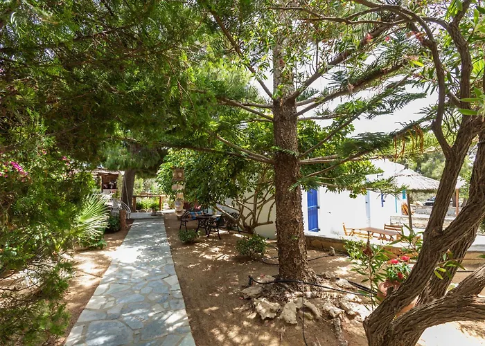 Sunrock 스텔리다