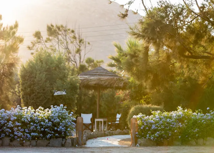 Sunrock * 스텔리다