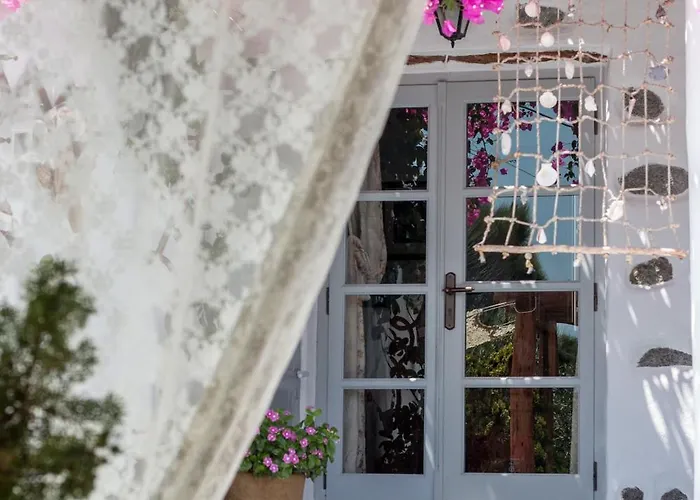 Sunrock 스텔리다