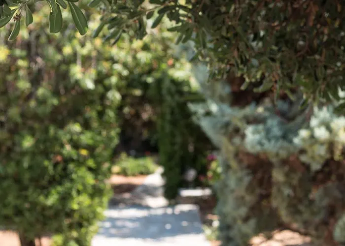 Sunrock * 스텔리다