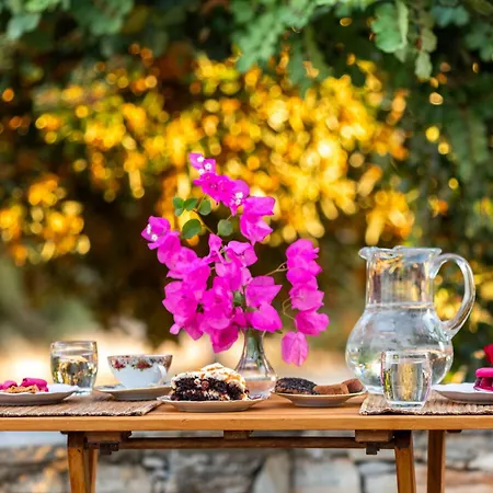 Sunrock * Stelida (Naxos)